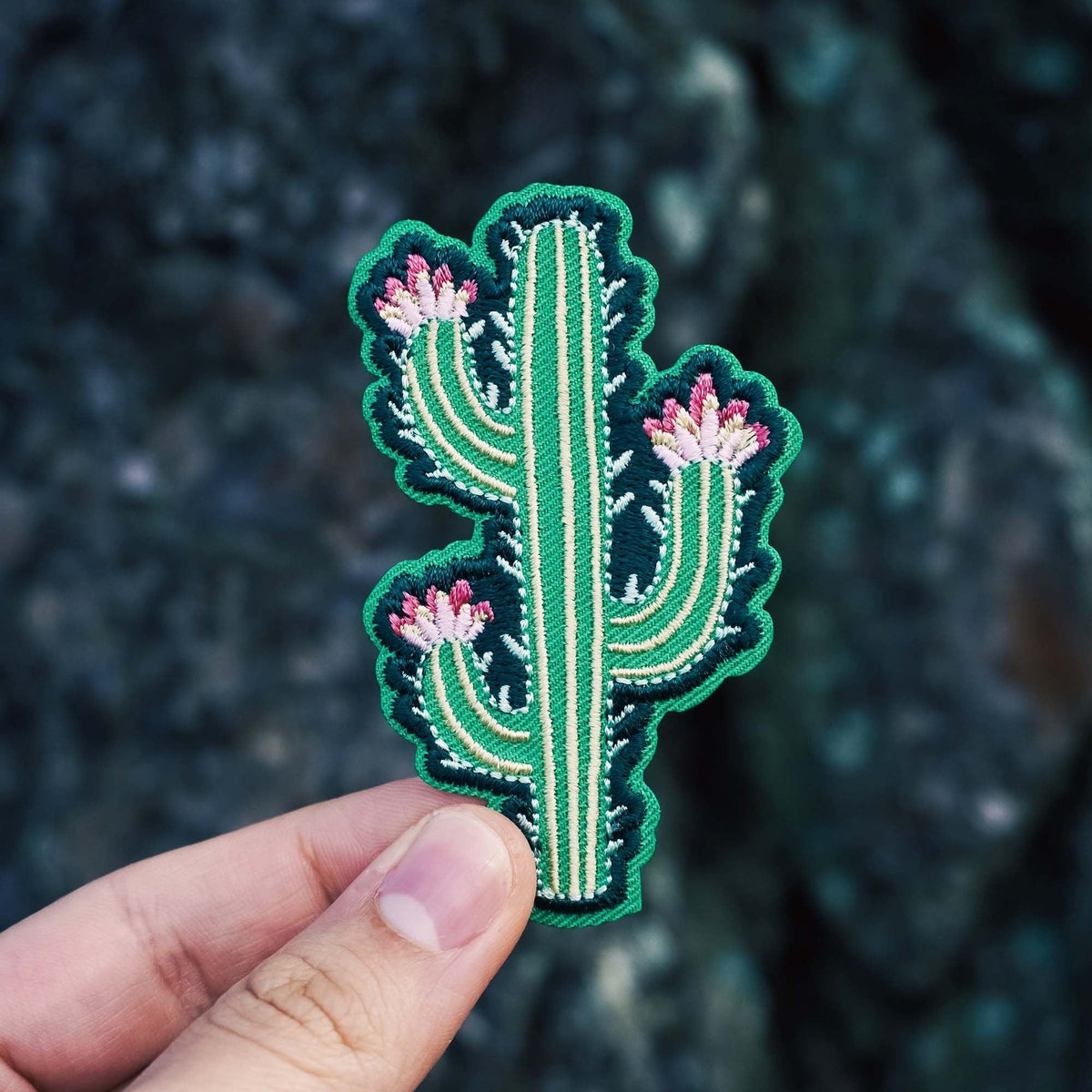 Modern Cactus Patch - KosmicSoul