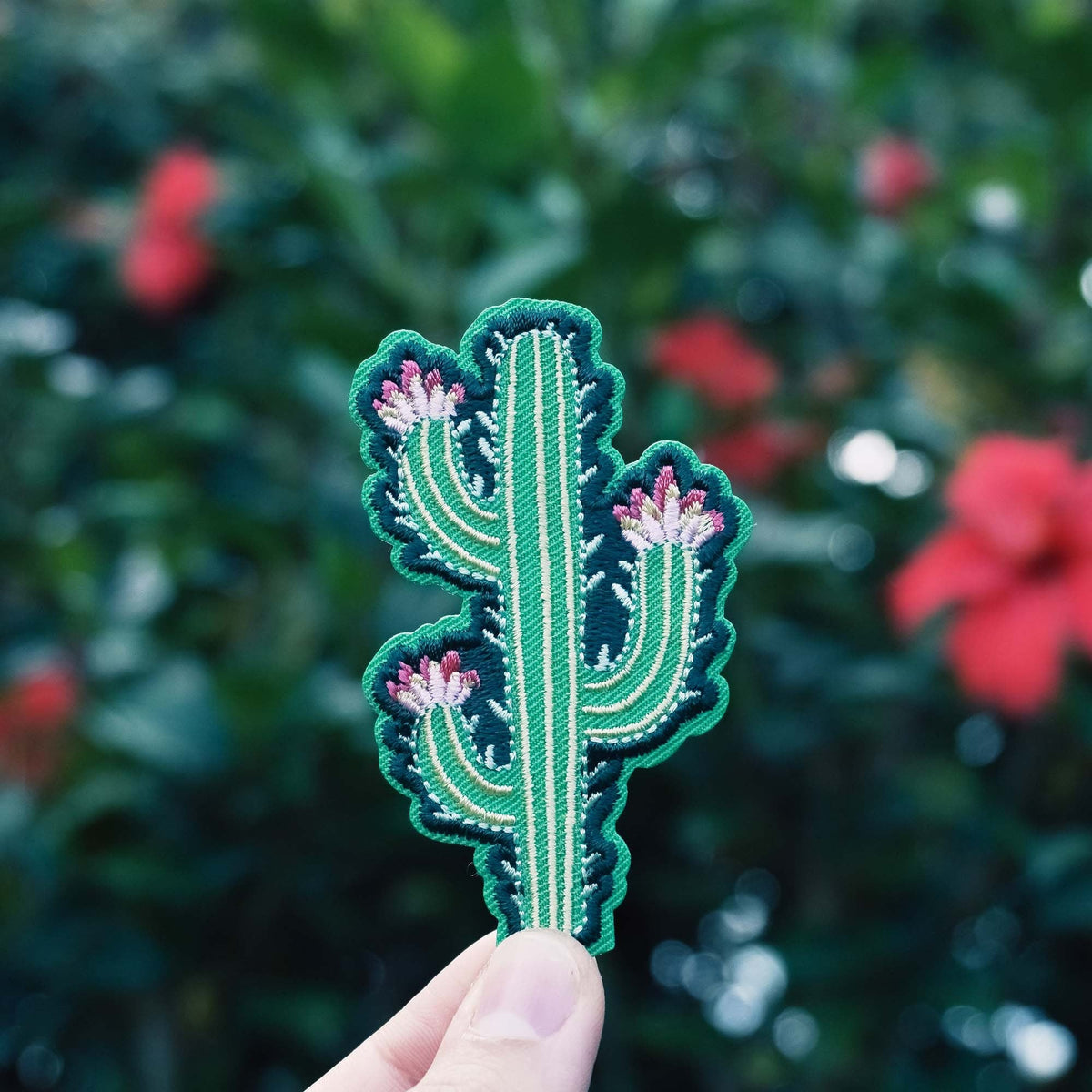 Modern Cactus Patch - KosmicSoul